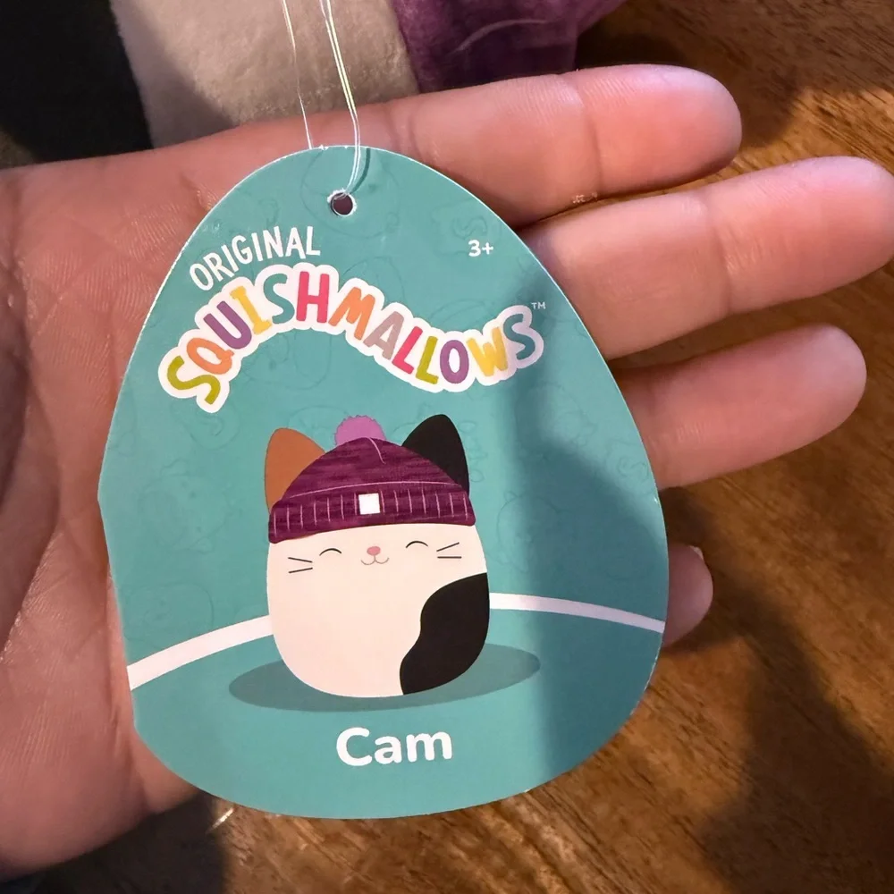 Squishmallows Cat Toy with Purple Hat